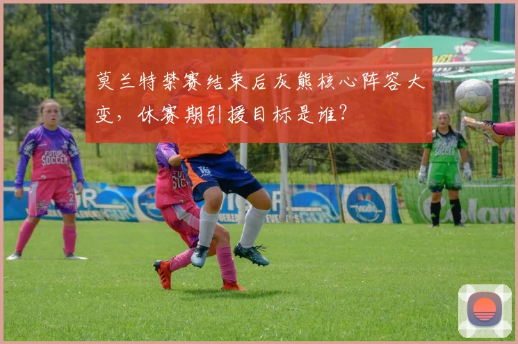 莫兰特禁赛结束后灰熊核心阵容大变，休赛期引援目标是谁？